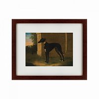 картина: portrait of a greyhound called pompon, 1746 в Москве