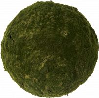 декор moss sun в Москве