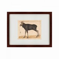 картина: moose, 1560 в Москве
