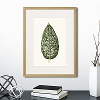 картина: single leaf of a plant №1, 1865г. в Москве