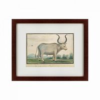 картина: cape ox, 1778 в Москве