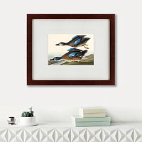 картина: blue-winged teal, 1836 в Москве
