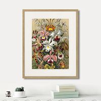 картина: art forms of nature №6, 1897г. в Москве