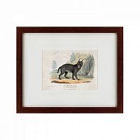 картина: a caracal or lynx, 1830 в Москве