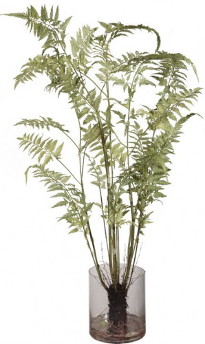 декор fern в Москве