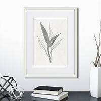 картина: the fern collection №6 в Москве