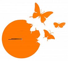 часы настенные оранжевые бабочки butterfly в Москве