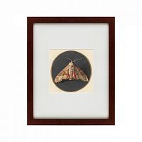 картина: owlet moth, 1700 в Москве