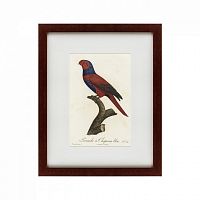 картина: perruche a chaperon bleu, 1801 в Москве